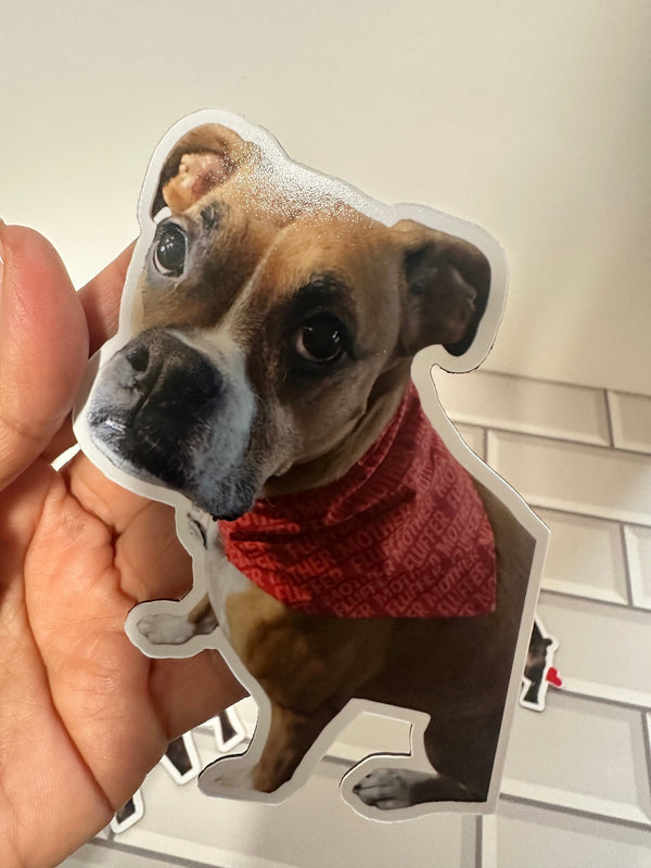 Personalized pet die-cut magnet with cat photo – SoulMade Customs