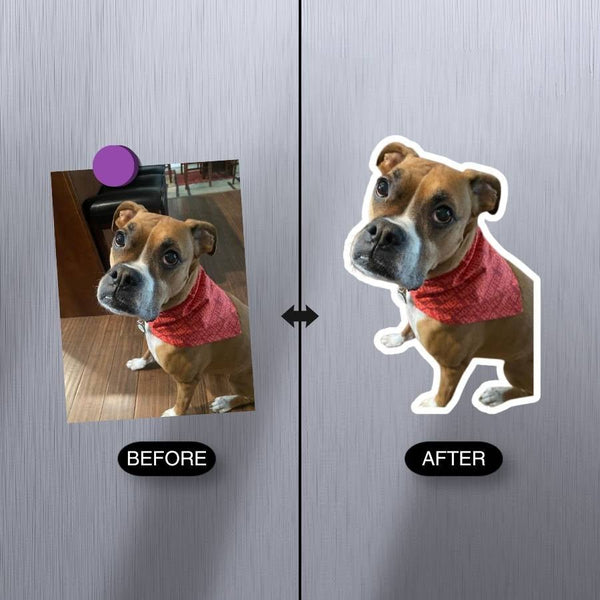 Personalized die-cut photo magnets displayed on fridge – pet and family gifts. Before and after comparison