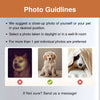 Photo guidelines for custom pet photo fridge magnet order – SoulMade CustomsCustoms