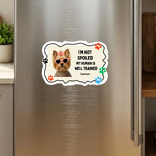 Funny AI Personalized Pet Photo Magnet - SoulMade Customs