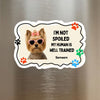 Funny AI Personalized Pet Photo Magnet - SoulMade Customs