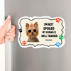 Funny AI Personalized Pet Photo Magnet - SoulMade Customs