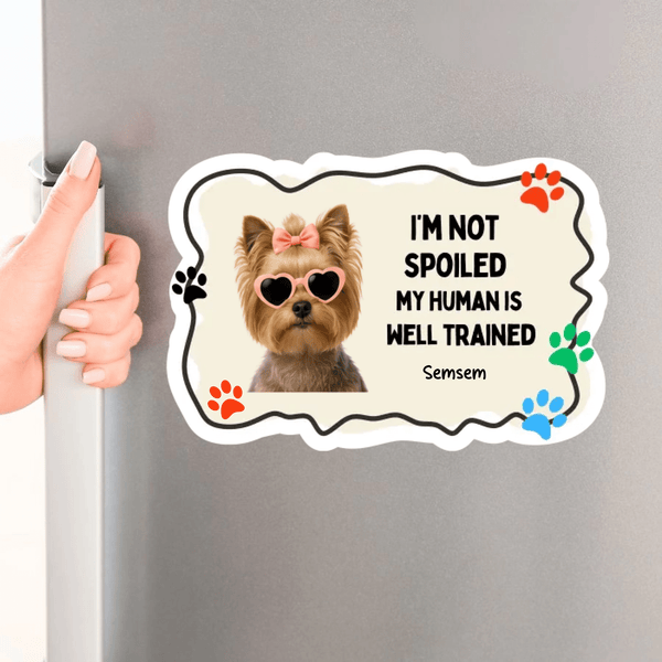 Funny AI Personalized Pet Photo Magnet - SoulMade Customs