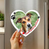 Custom Pet Photo Magnet – Funny Dog & Cat Gift, Personalized Fridge Magnet - SoulMade Customs