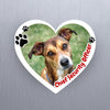 Custom Pet Photo Magnet – Funny Dog & Cat Gift, Personalized Fridge Magnet - SoulMade Customs