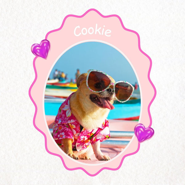 Custom Pet Photo Magnet with Name – Personalized Fridge Magnet - SoulMade Customs
