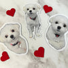 Custom heart-shaped pet photo magnets with white dog – personalized gift idea