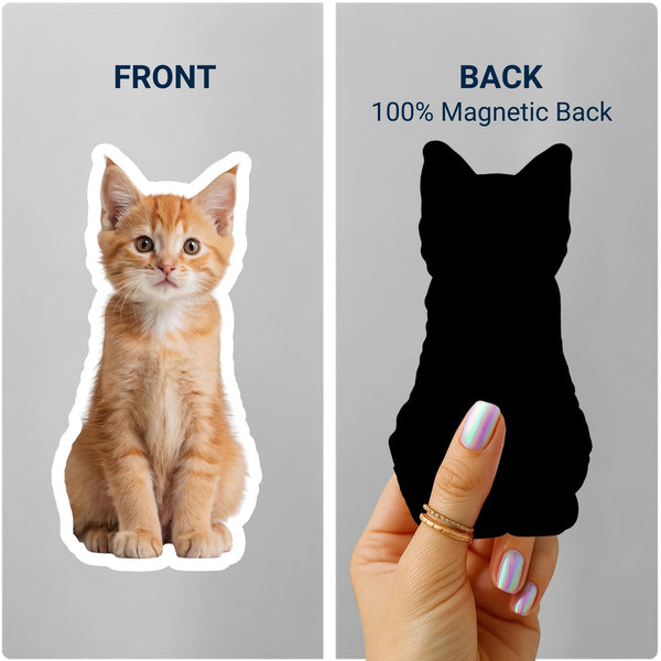 Front and back of custom cat photo die-cut fridge magnet – SoulMade CustomsCustoms