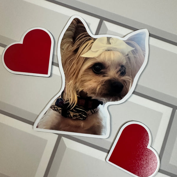 Custom Shape Photo Magnets