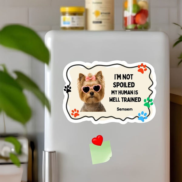 Funny AI Personalized Pet Photo Magnet - SoulMade Customs
