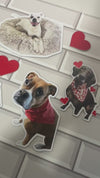 video showing real customers pets custom shape fridge magnets, flexible magnets, perfect gifts for pet lovers